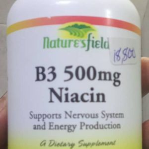 B3 500MG NIACIN TABA X20 (NATURE'S FIELD)
